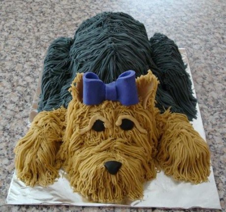 yorkie cakes ps 237 kovia fotoalbum psie torty yorkie cake jpg yorkie cakes ps 237 kovia fotoalbum psie torty yorkie cake jpg