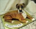 dog-cake-3.jpg